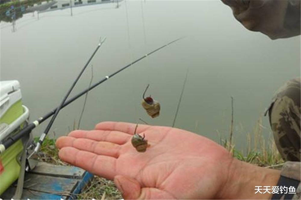 饵料|野钓大鱼,“吃透了”5个“专属”技巧,大鱼一钓一个准