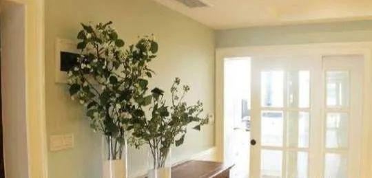 超出预算的奢华装修,当初嫌弃妻子败家,完工后我彻底沉默了