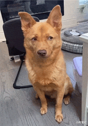 “女友闺蜜喊我去唱歌,穿成这样谁顶得住啊?”兄弟忍住!