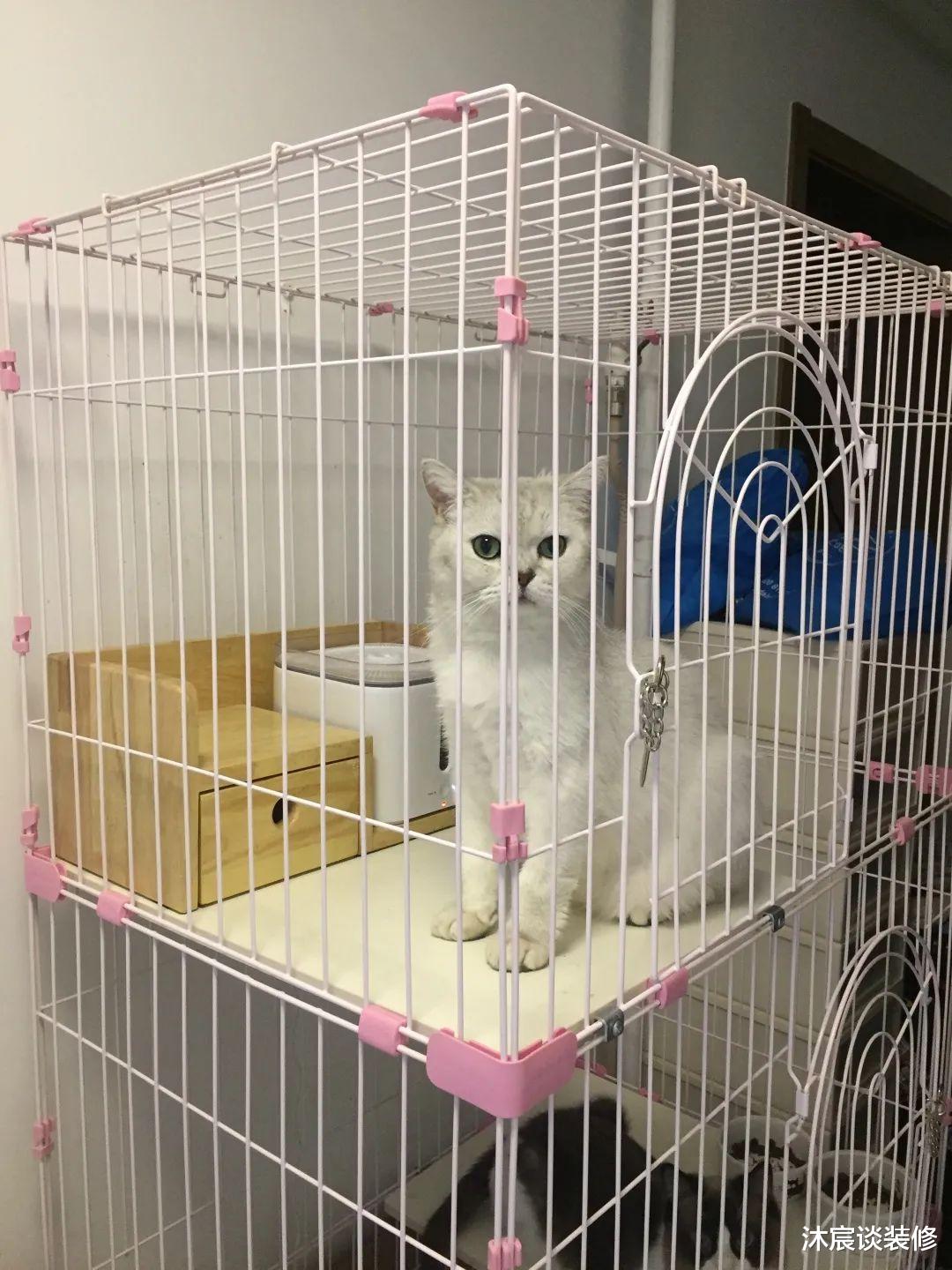 夫妻俩爆改46㎡老破小,住1家5口和2只小猫没压力,还有超多收纳