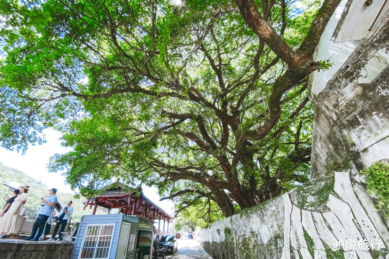 沙滩|2022浙南看一看，苍南第一站！浙夏海滨玩水吃海鲜、清凉遛娃自驾游