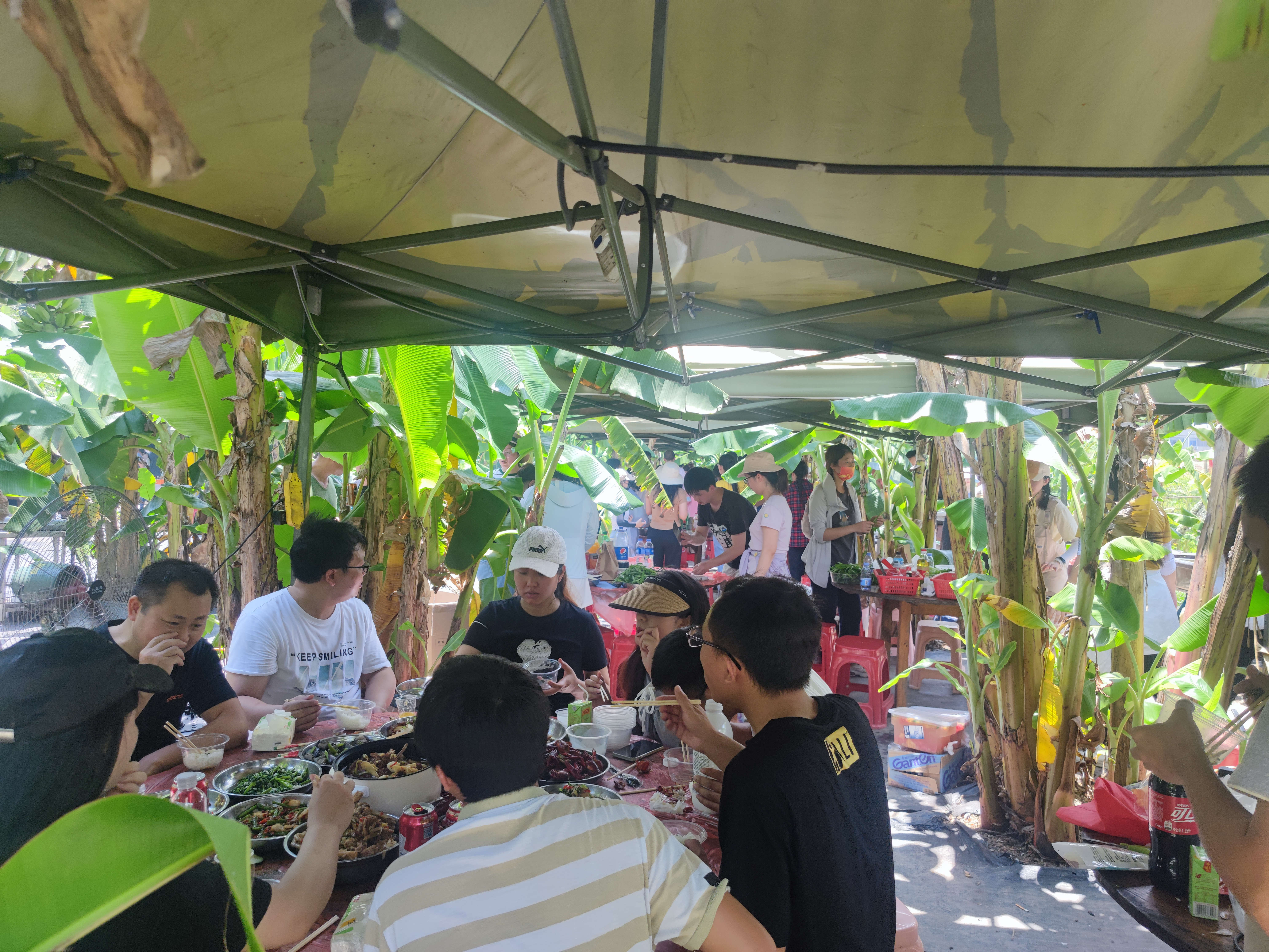 |深圳周边高端农家乐|野炊+休闲+聚餐