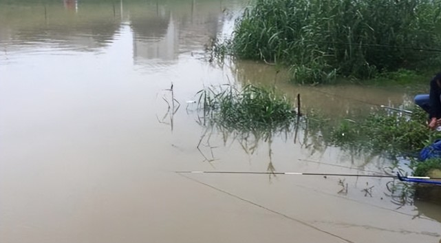 |7月盛夏野钓,找准鱼群“开饭”时间,连杆不断,渔获轻松翻倍