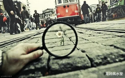 |龙吟师傅教你从八字看自己适合选择公职还是自由职业