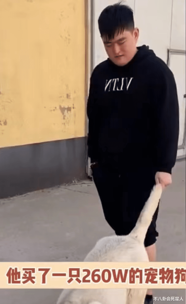 李嘉明|端午节假期10个瓜，拍戏落水溺亡，被告上法庭，花260万买狗