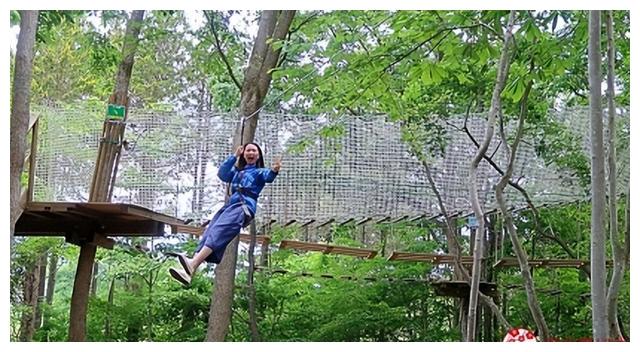 磨西镇|北海道赏花不要只去富良野！花之乡「惠庭」给你超好玩的吃花体验