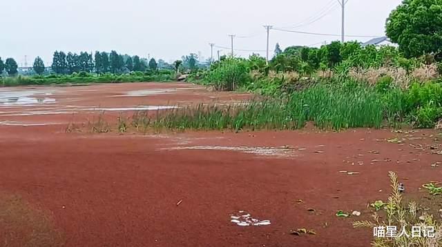 武汉|在武汉郊区一座休闲农庄随拍，小别墅井然有序，还有一座湖心鸟岛