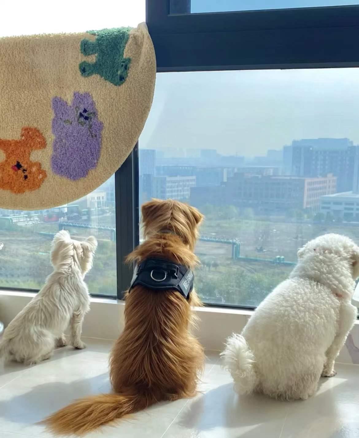 发现90后夫妇家名场面，75㎡小家每1㎡都榨干，实在太会布置了