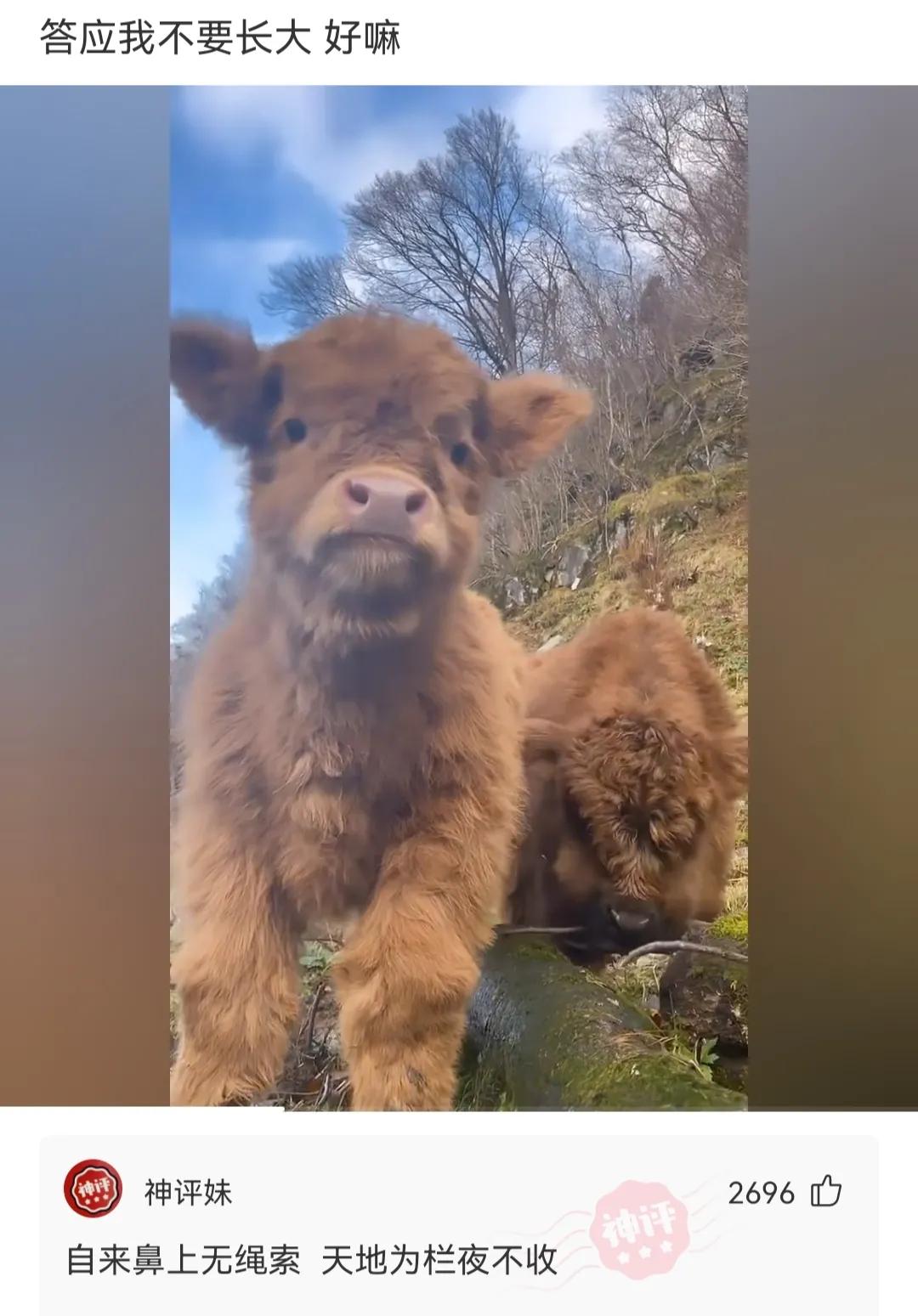 流行|神回复：沙溢年轻的时候流行大叔，中年的时候又开始流行小鲜肉