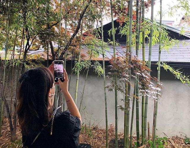 一个38岁女律师的家:独居90㎡,与狗为伴,自由自在,快乐翻倍!