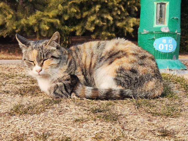 高通骁龙|对比同行，“网红”真我GT2到底香不香？上手试试就知道！