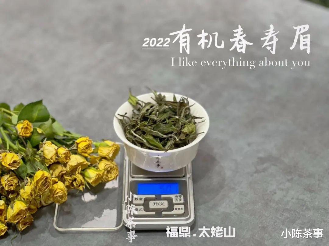 口粮茶只要挑便宜的，价格越低越划算？难怪你一直喝不懂白茶