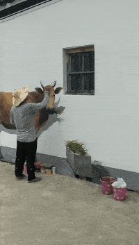 老公偷偷藏私房钱,趁他没下班我做了个美甲,好看吗?哈哈哈哈