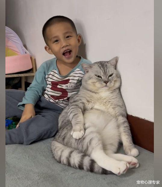 儿子和猫玩着玩着没声音了,女子跑去查看后语塞:这又是咋了啊?