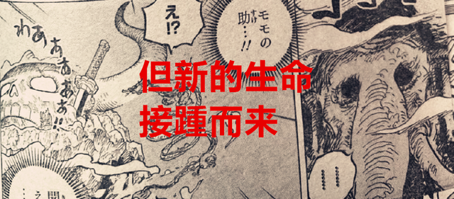 路飞|海贼王1043话：路飞名副其实地死亡了，新的人设将被乔伊波伊取代