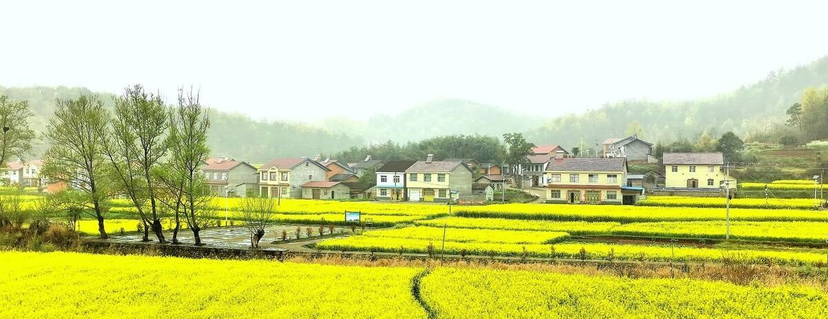 40岁光棍娶50岁大妈,因不能生育母亲反对,儿子:抱养一个也有后