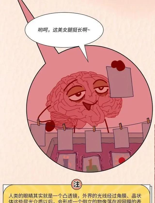 人体“bug”对照表|《人体“bug”对照表》：看看有没有你想修复的器官？（漫画）
