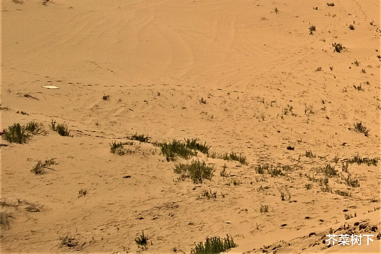 |人在职场，品很重要