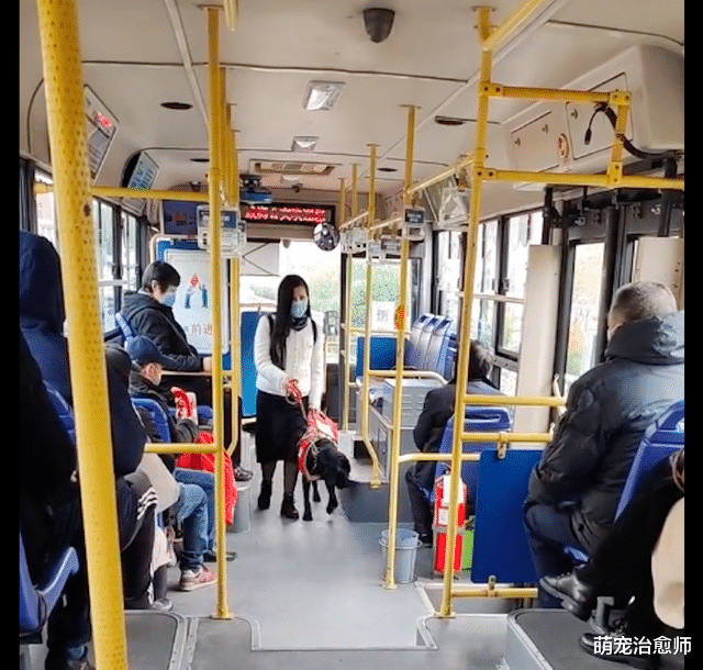 导盲犬带主人上公交车，大爷大妈不约而同站起来让座，这一幕好暖