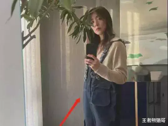 黄磊|孙莉：晒四胎大肚照，黄磊被骂无节制