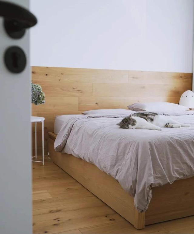 用了小半年终于“露陷”,这些被网红吹捧的家居产物,真的很鸡肋