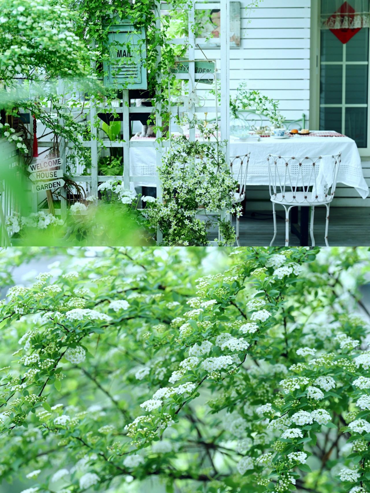 没有大院子,买个20㎡阳台建花园,历时五年的折腾,不要太好看