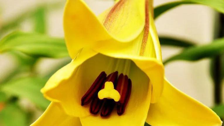 异性之间存在引力法则