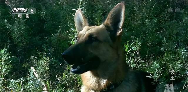 豆瓣|人神共愤！全网怒刷一星，他是中国影视圈的奇耻大辱