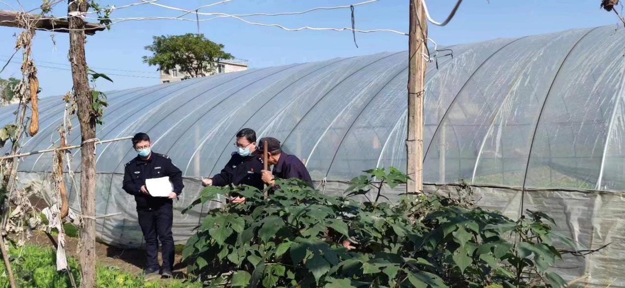 固始县提前着手开展铲除毒品原植物毒专项行动