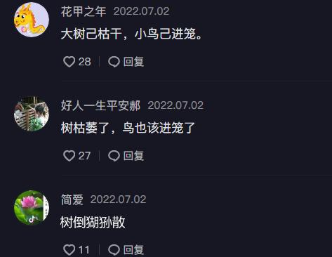 杜新枝|杜新枝律师挂鸟笼，杜粉问还能不能继续帮杜妈，网友：树散猢狲倒！