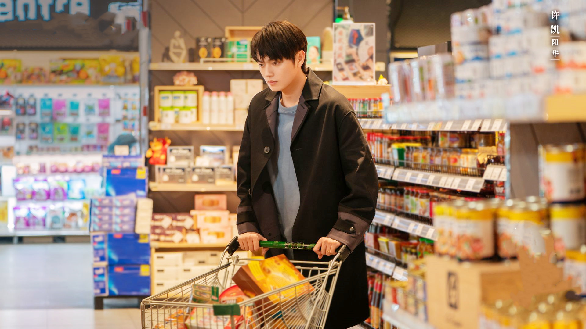 秦施|《爱的二八定律》秦施有多讨喜?职场上的女强人,感情中的小猫咪