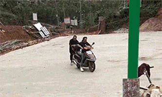 神回复:为什么上亿年的恐龙没有产生文明,而200年的人类却产生了文明?