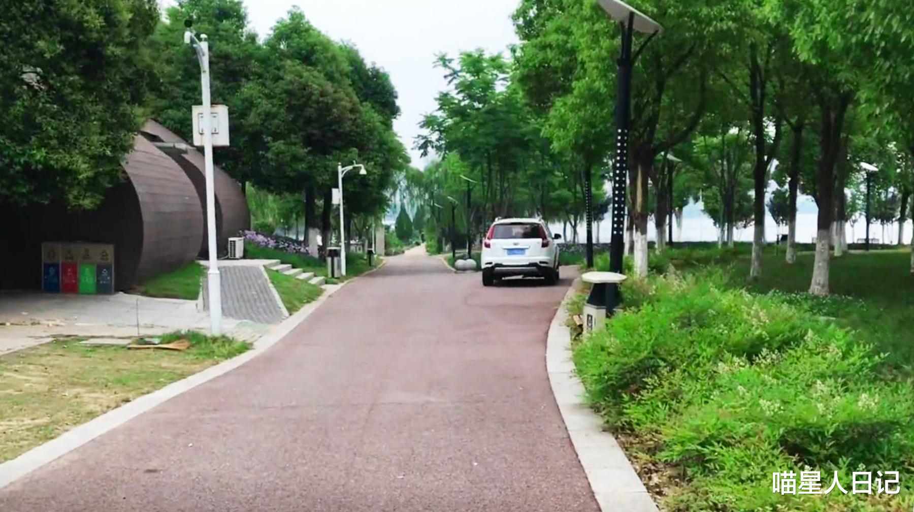 墨水湖|建在武汉郊区湖边的自然绿道,植被茂盛像公园,随处可见钓鱼人