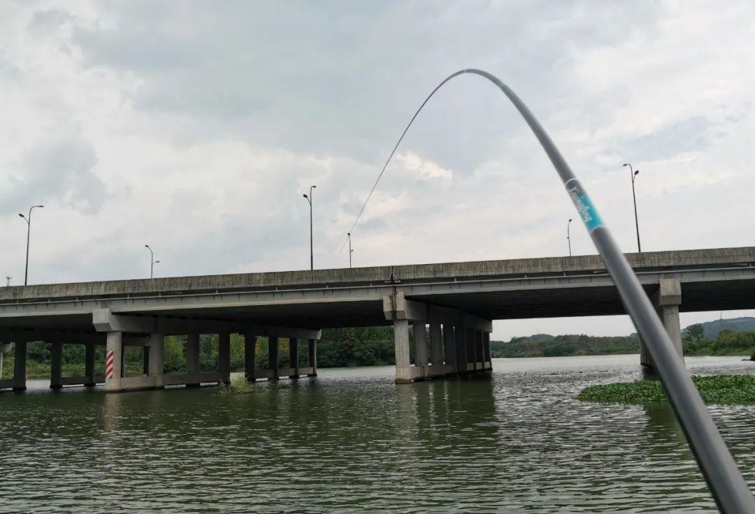 饵料|钓鱼还有公式吗？还真有，这5个公式很多钓鱼人一直都在用！