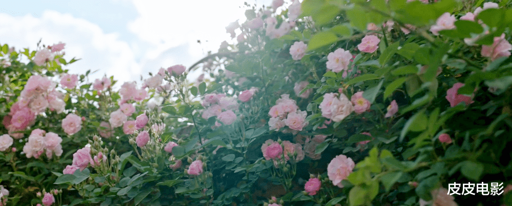 刘亦菲|收视夺冠,脱下“古装”的刘亦菲,这剧治愈多少年轻人的精神内耗