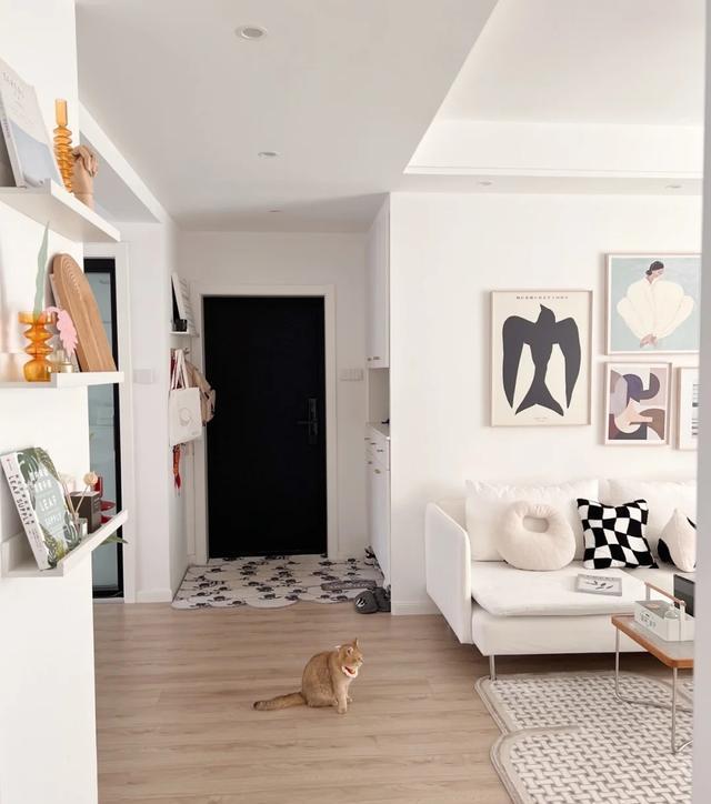 29岁独居男主的70小家,因太会布置而走红,网友:还缺对象吗?