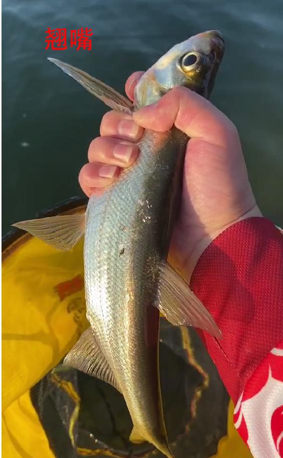 |分享私藏多年的野钓圣地:山好、水好、环境更好!