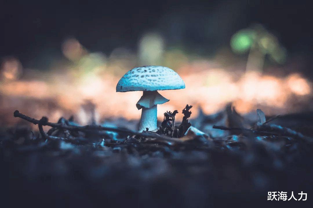 心理学|职场中实用和常用的九大心理学效应，了解一下！