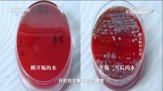 亚硝酸盐|千滚水、隔夜水和电壶水，有毒且致癌？央视的一个实验告诉你真相