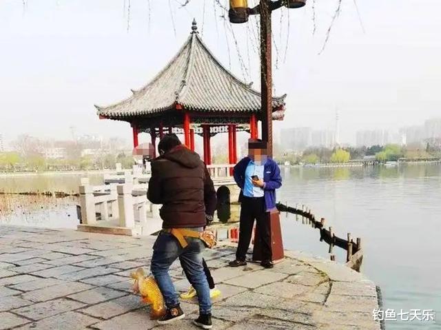 济南|景区偷钓20斤大鲤鱼,济南一男子被拘留13天!网友:钓瘾有点大