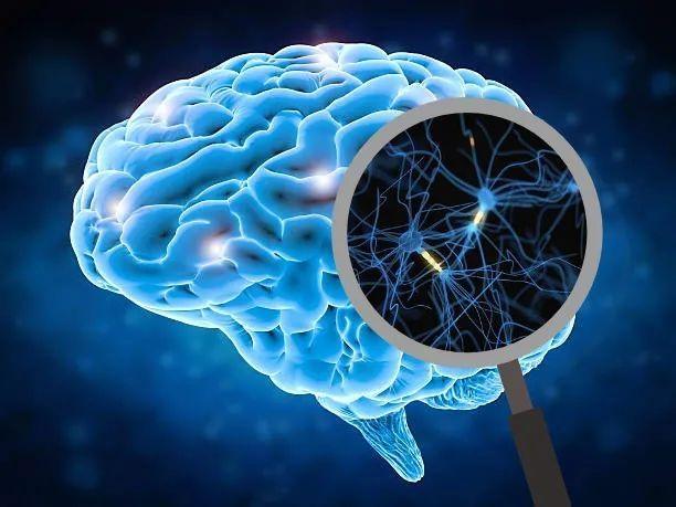 松下|在现实生活中，环境的变化和用户的移动会产生很多的噪音和脑电图伪影