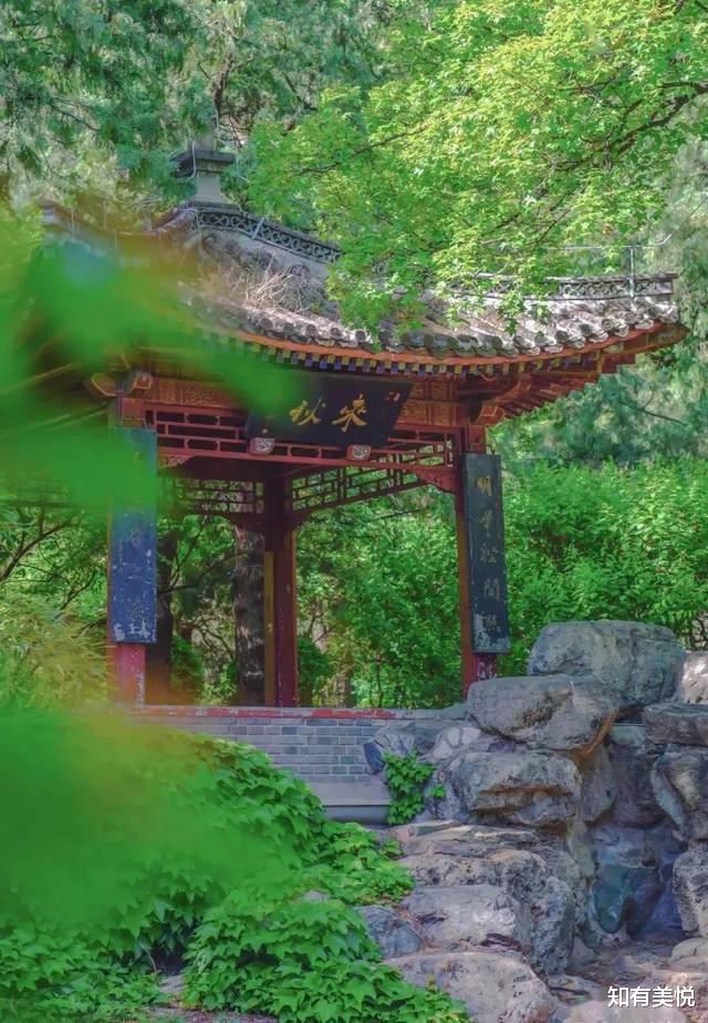 草原|藏不住了！这9个绝美初夏避暑旅行地，选一个出发吧！