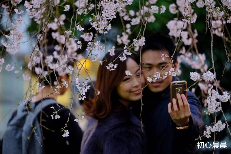 房产|临近结婚 女友要求房产加名字,分手后竟然讨厌要房子,男友大骂“要点脸吧”!