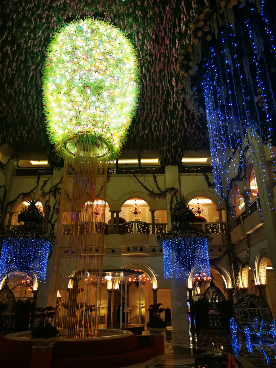 蛋白质|?绿藻(小球藻)的营养特性(上)