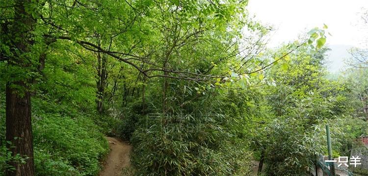 |这条秦岭沟谷，一进山就能看到美景，老人、孩子来玩也合适