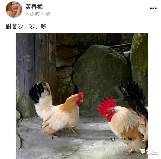 官宣|闷声办大事，跳过恋爱官宣结婚，从赵丽颖到许魏洲，结局各有不同