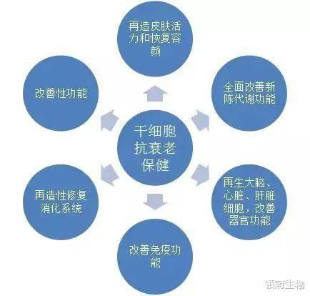 干细胞抗衰,可以让我们一直年轻下去吗?