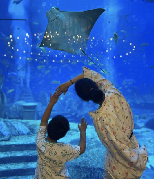 佟丽娅|陈思诚晒佟丽娅与儿子同框照为其庆生：称呼改变但彼此的情谊不变