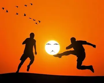 |职场中如何与人协作的重要原则就是互利共赢？