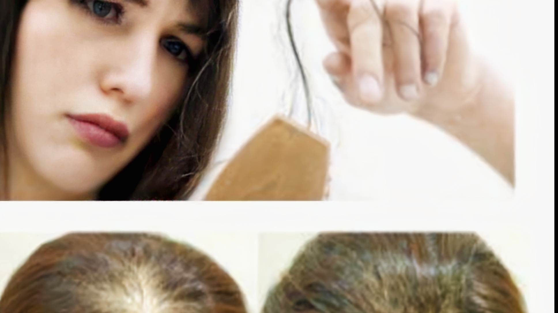 黑枣 五黑汤，春天把它吃起来，让你的一头秀发飘逸起来